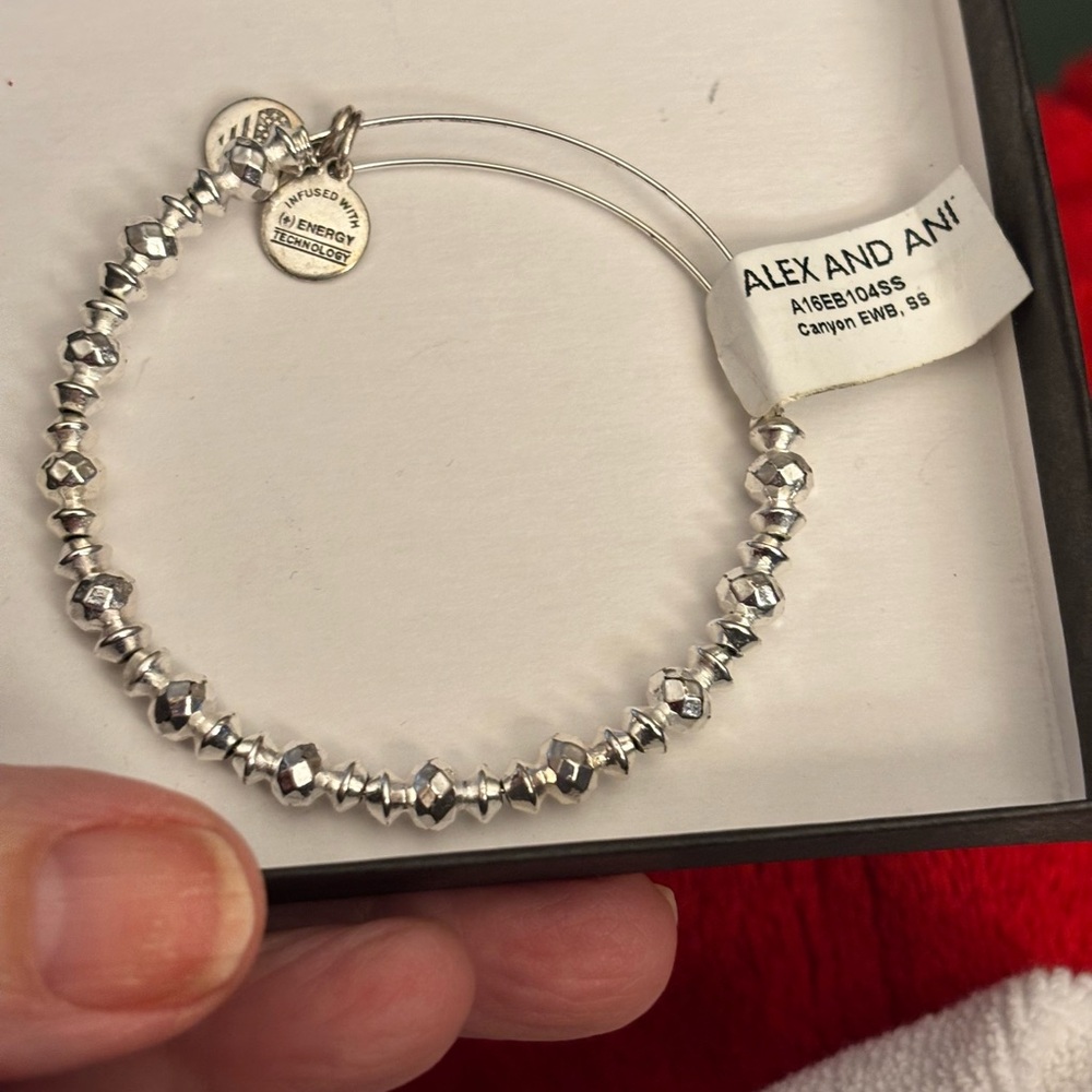 Alex & Ani NWT